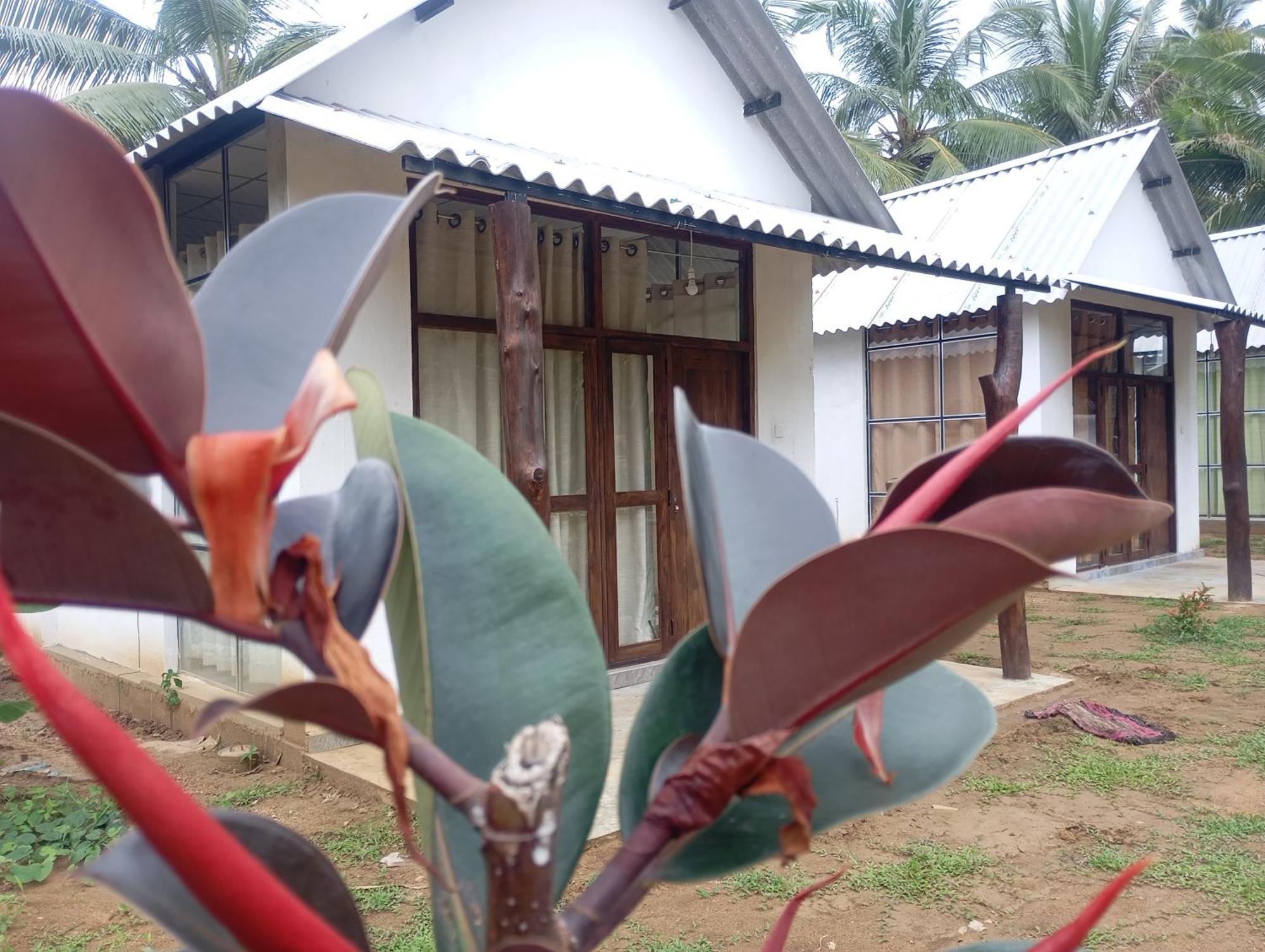 Eagle Safari Cottage Udawalawe Kültér fotó